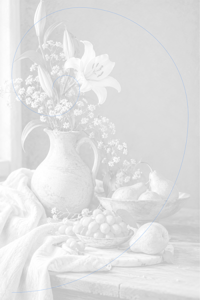 fibonacci-spiral-02