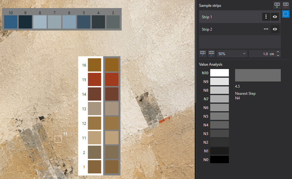 Sample Strips